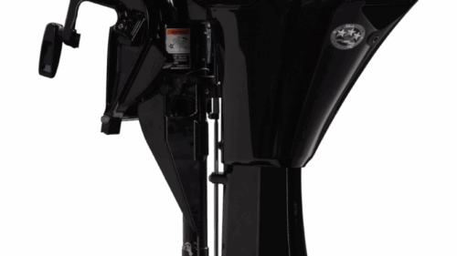 Moteur Mercury 9.9MLH 4 Stroke